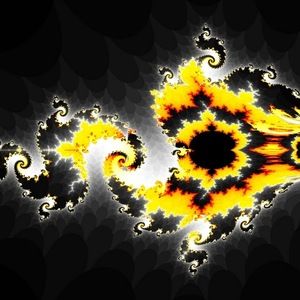 Meet your Posher, Joseph s.